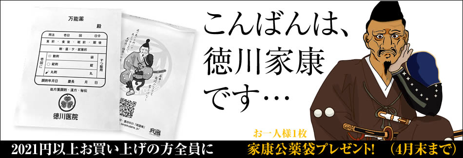 こんばんは徳川家康です